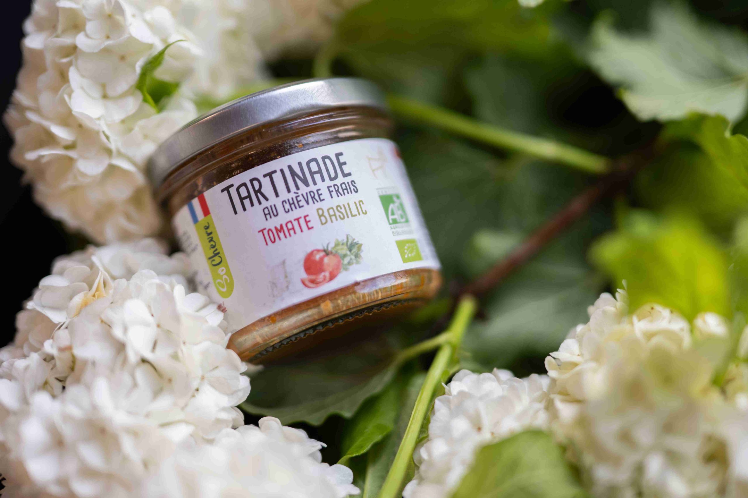 Tartinade So'chevre